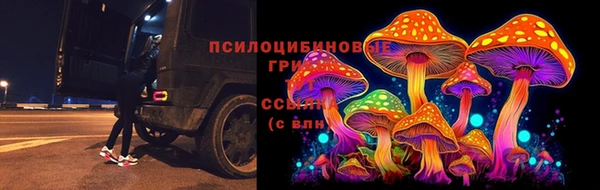 каннабис Аркадак