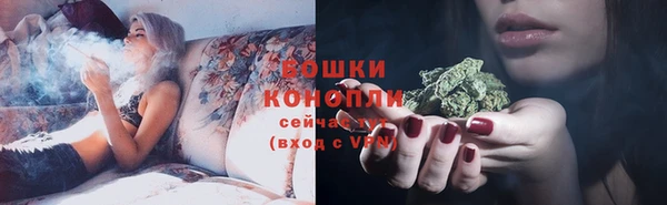 ECSTASY Покачи