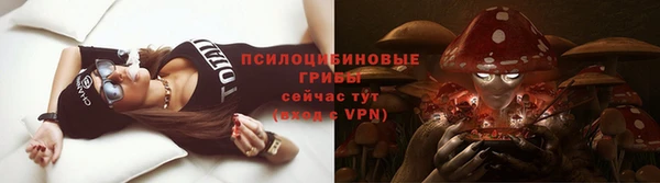 амф Арсеньев