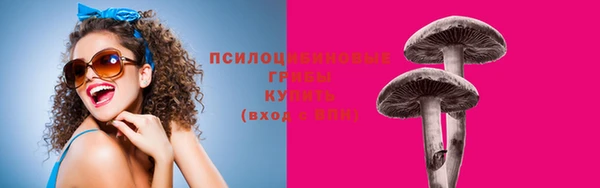 спиды Армянск
