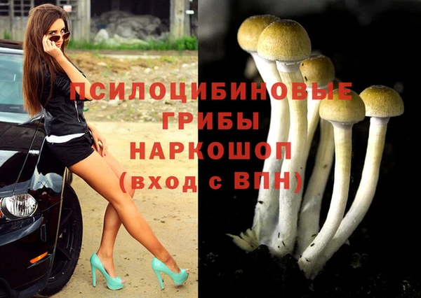 спиды Армянск