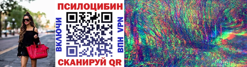 Псилоцибиновые грибы Psilocybine cubensis  нарко площадка официальный сайт  Цивильск  mega ONION 